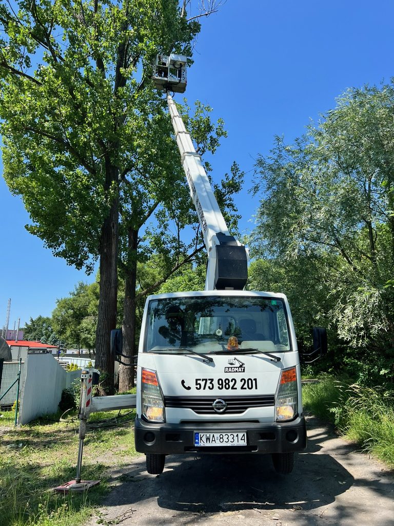 Wynajem zwyżki Bielsko-Biała – pielęgnacja drzew przy posesji | RADMAT