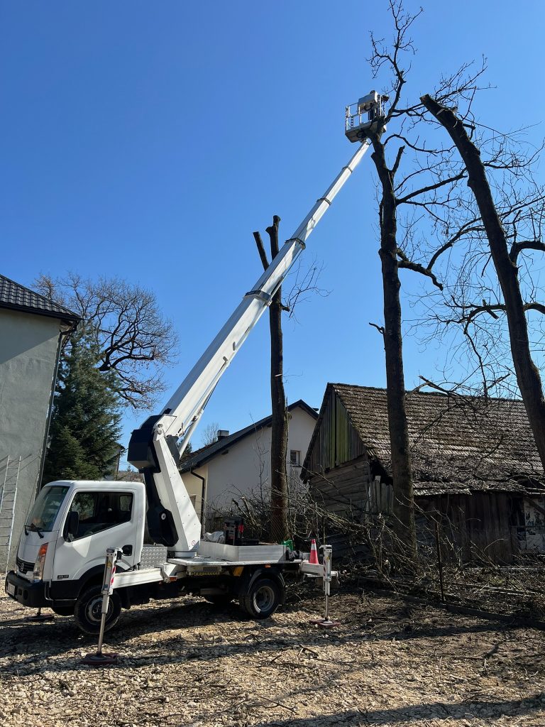 Zwyżka Skawina - prace przy drzewach