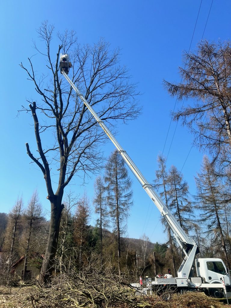 Zwyżka Brzeźnica - prace przy wysokich drzewach
